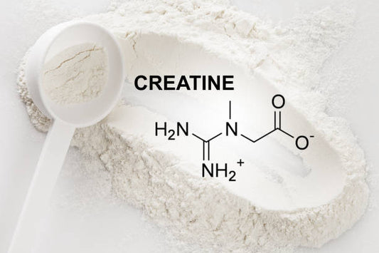 Creatine Monohydrate Gummies 3g/Collagene Marin/Musculation Pre Workout BCAA/Vitamine B6/Sport/Fitness/Vegan/Sans Gluten/Sans OGM/Sans Sucre/Gout Naturel Fraise/Femme/Homme/60 Bonbon Créatine/20 jours
