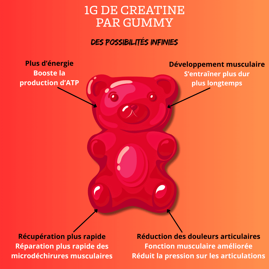 Creatine Monohydrate Gummies 3g/Collagene Marin/Musculation Pre Workout BCAA/Vitamine B6/Sport/Fitness/Vegan/Sans Gluten/Sans OGM/Sans Sucre/Gout Naturel Fraise/Femme/Homme/60 Bonbon Créatine/20 jours The Good Life Stuff
